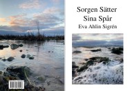 sigren-eva-ahlin - sorgen-satter-sina-spar