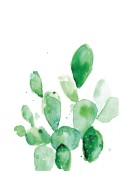 Cactus Watercolor Art | Gör en egen poster