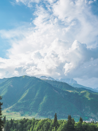 Sunny Mountain Landscape