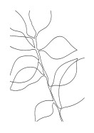 Botanical Line Art | Gör en egen poster